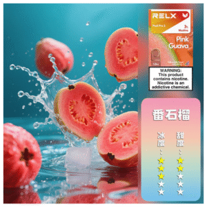 Relx悅刻 六代無限系列電子菸煙彈 Relx Infinity 2【潘石榴】